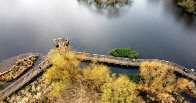 Spring Aerial Views