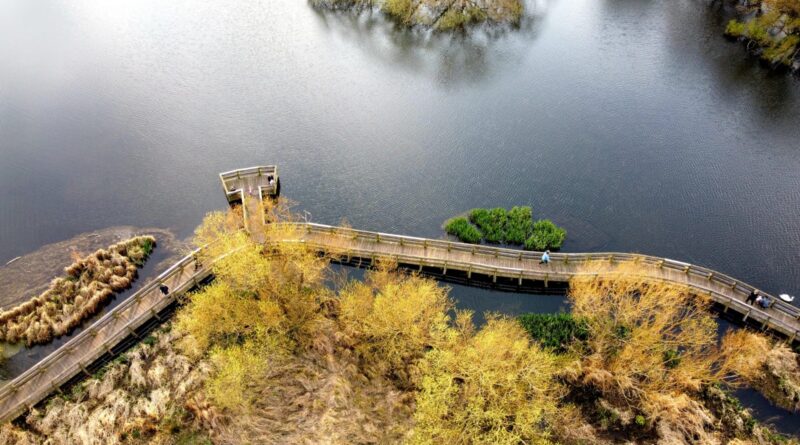 Spring Aerial Views